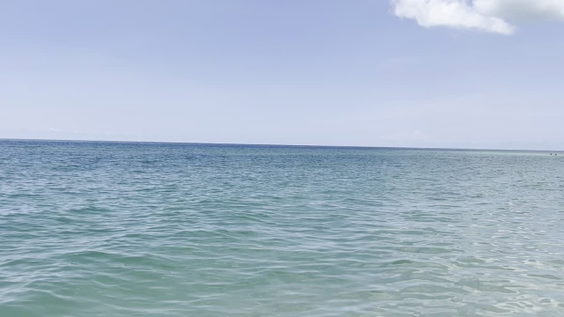 Anna Maria Island, FL
