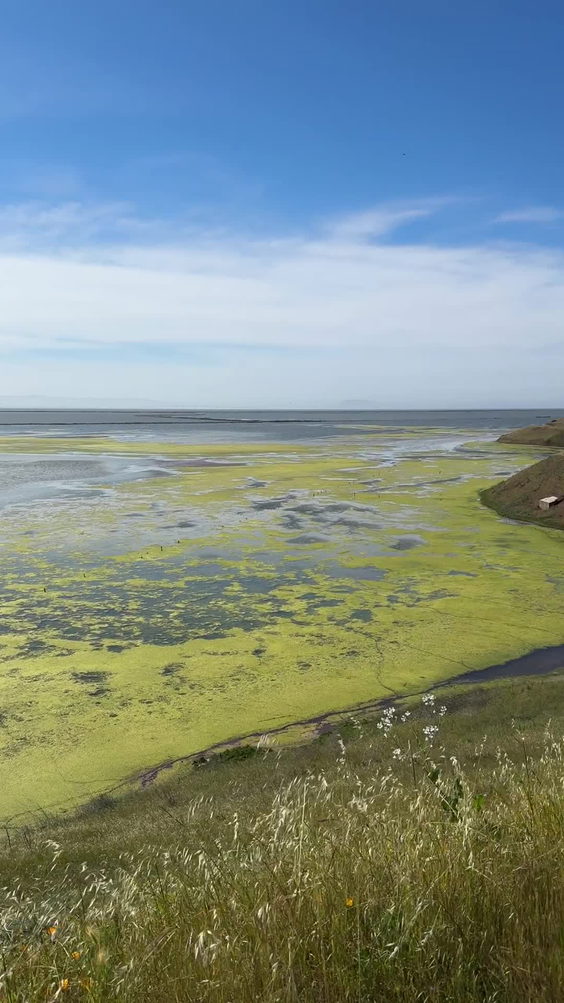 Coyote Hills Regional Park