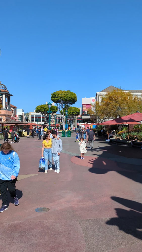 Downtown Disney District