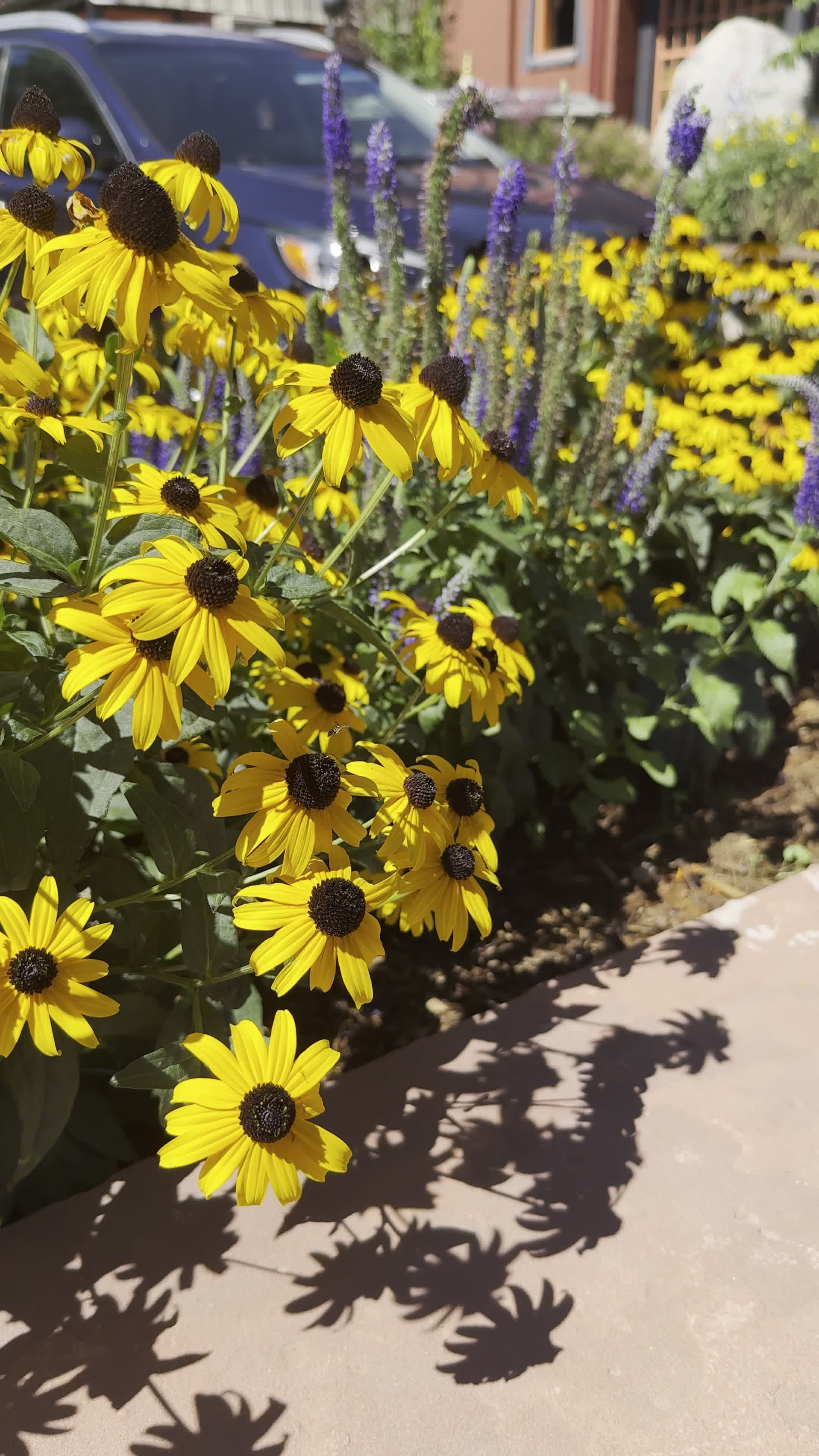 Video review of Sherpa House