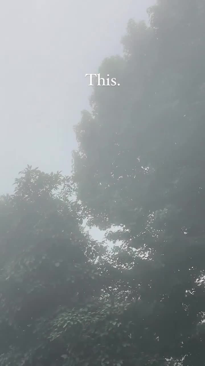 Misty Mountain Lodge
