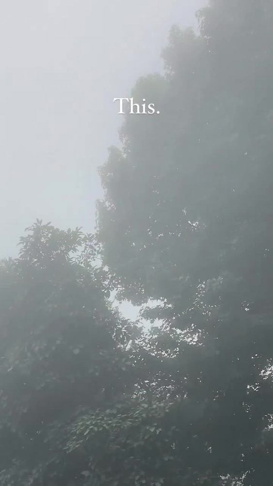 Misty Mountain Lodge