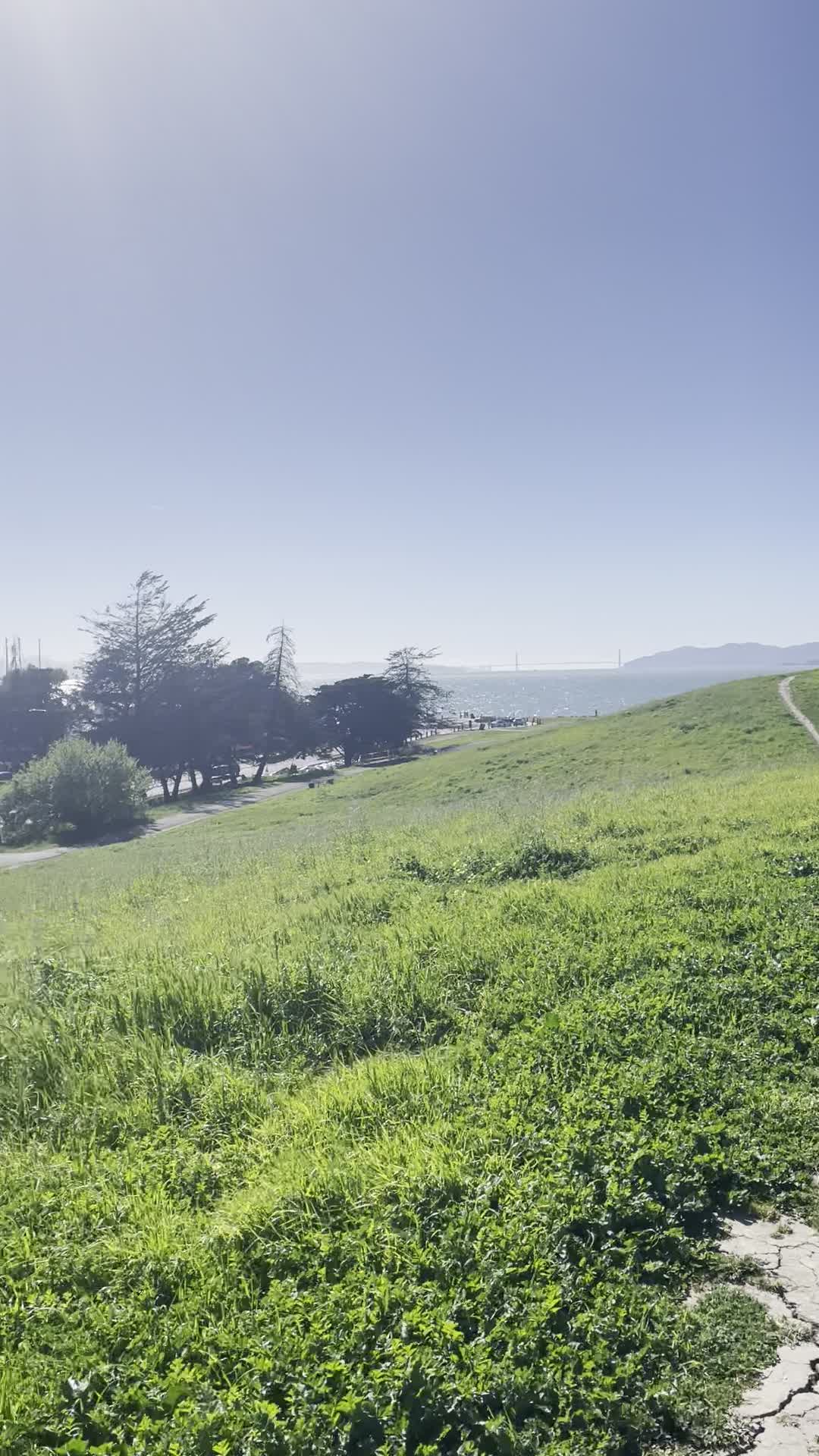 Berkeley Meadow
