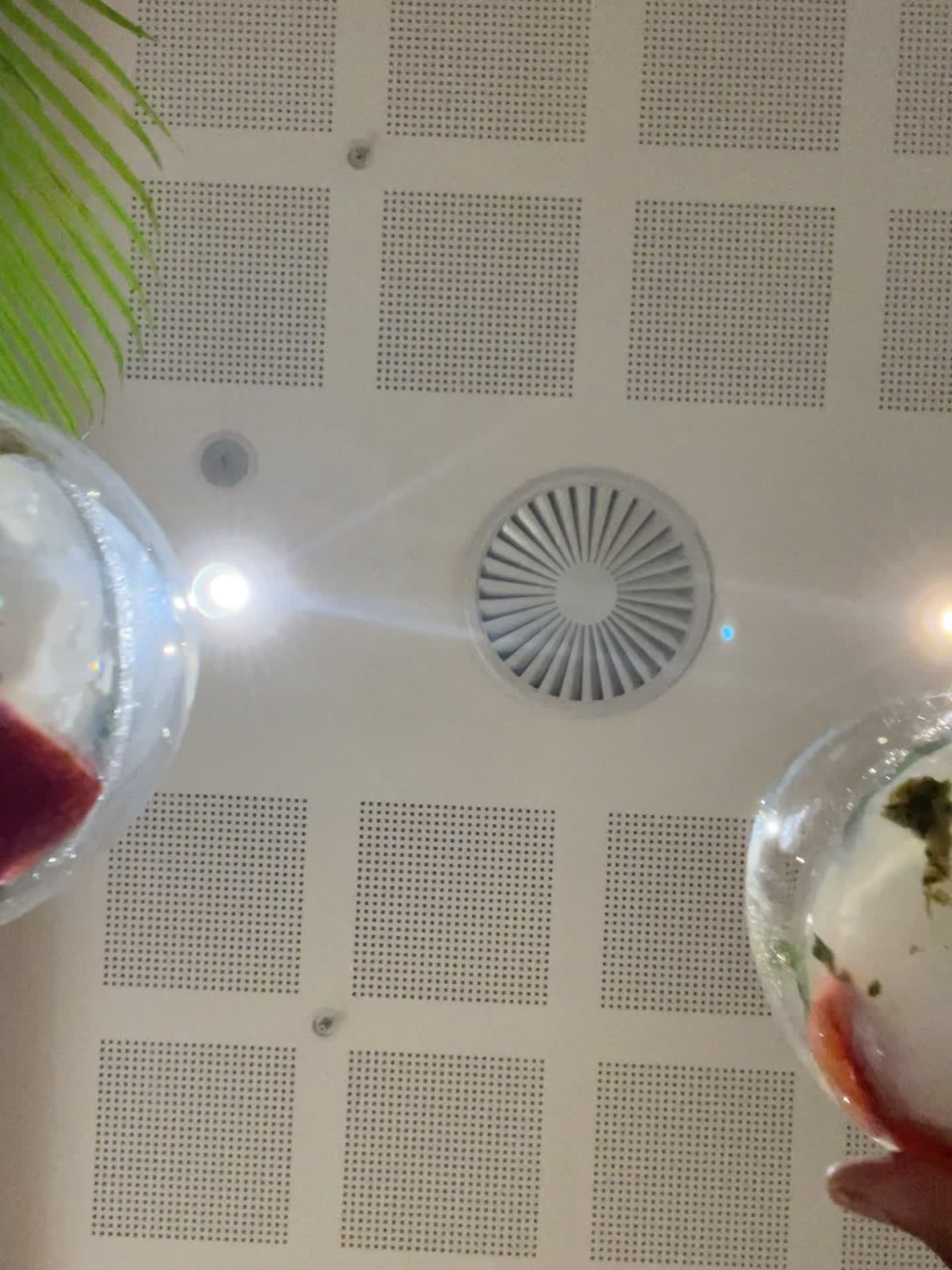 Tashas