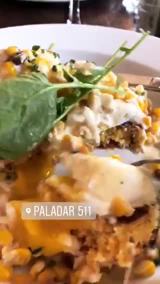 Paladar 511