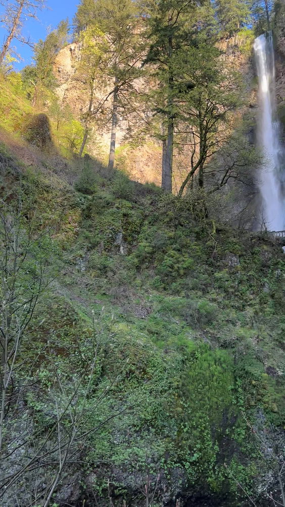 Multnomah Falls