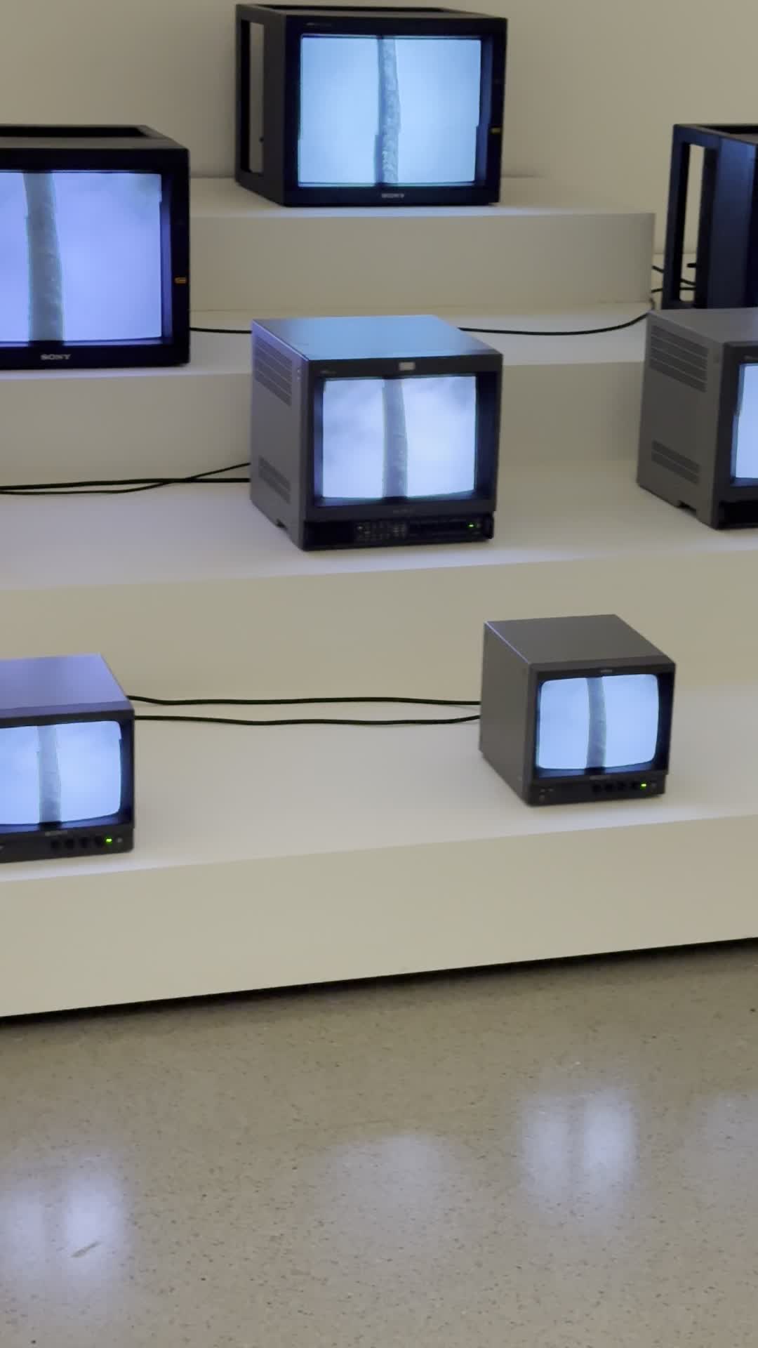 Video review of Museum of Modern Art (MoMA)