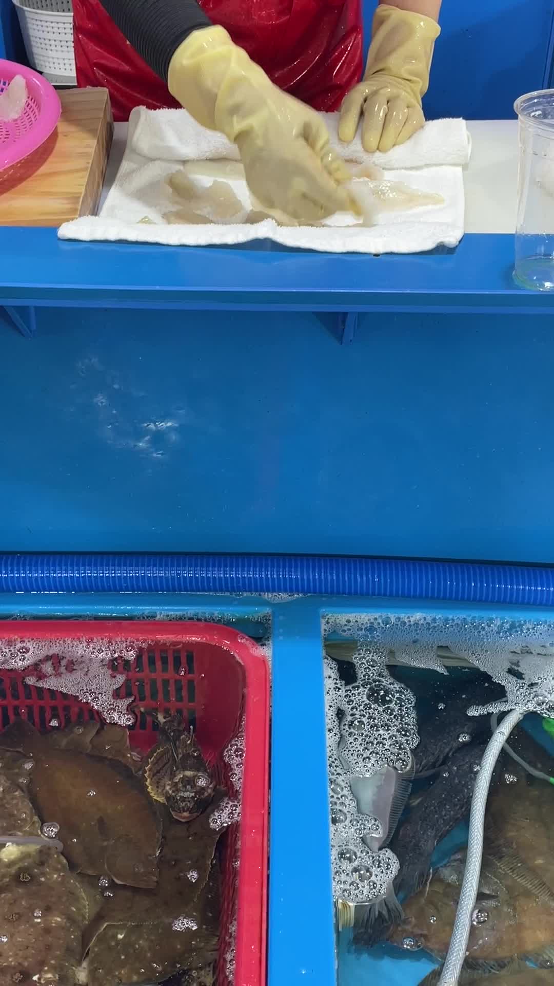 Fish market