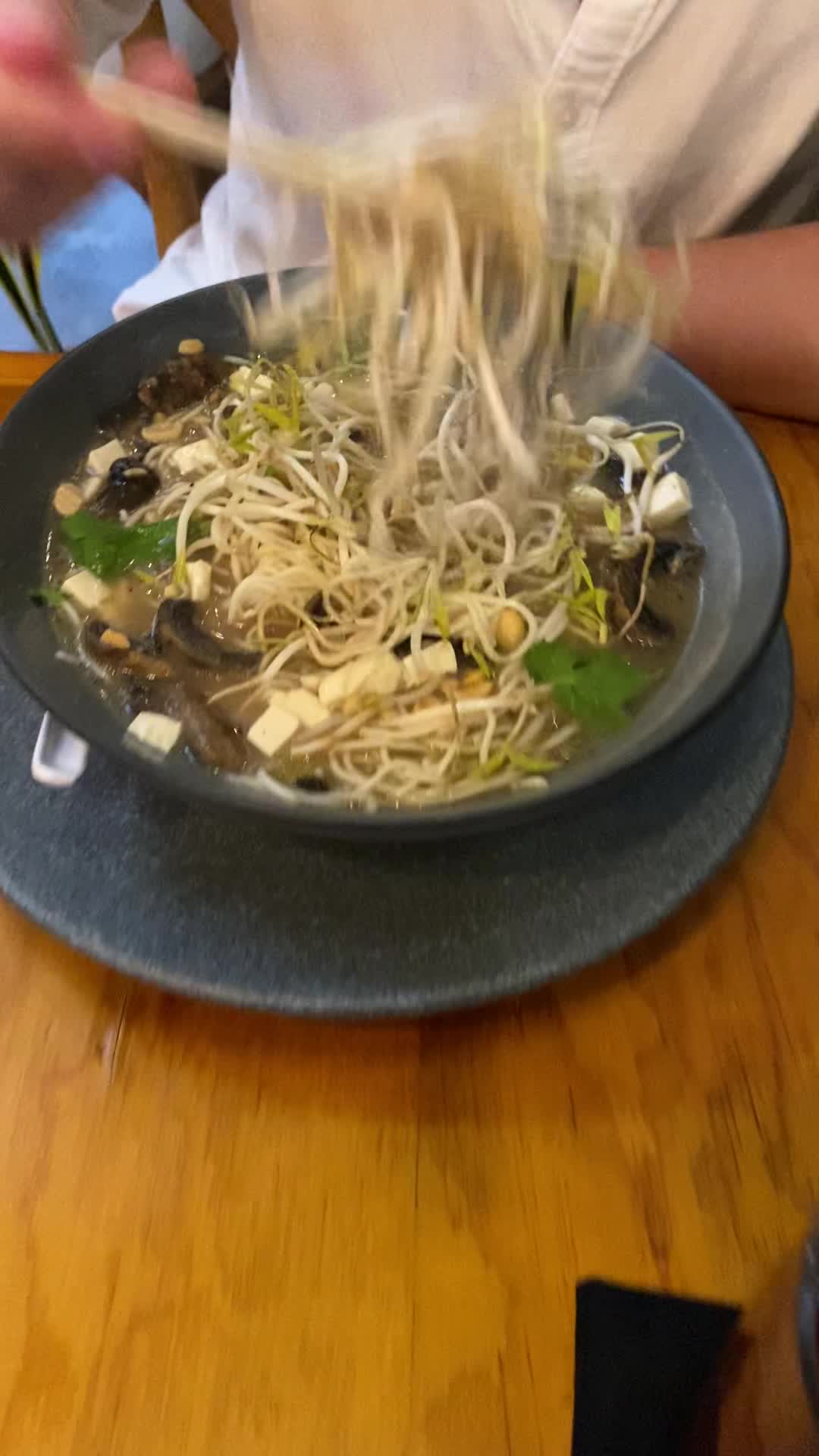 Salvei Vegan Concept