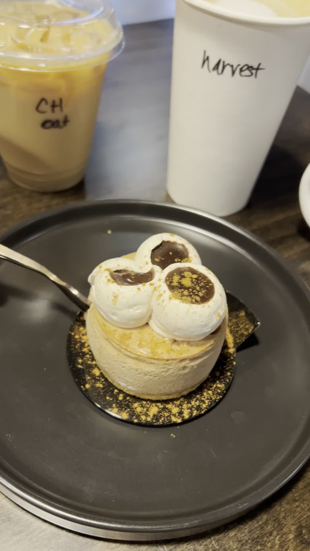 Borealis Coffee Bristol