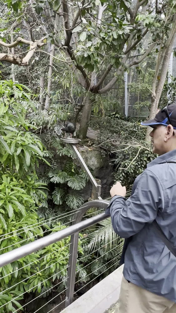 San Diego Zoo