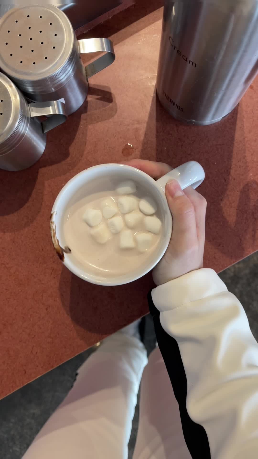 Whistler Blackcomb Mountains