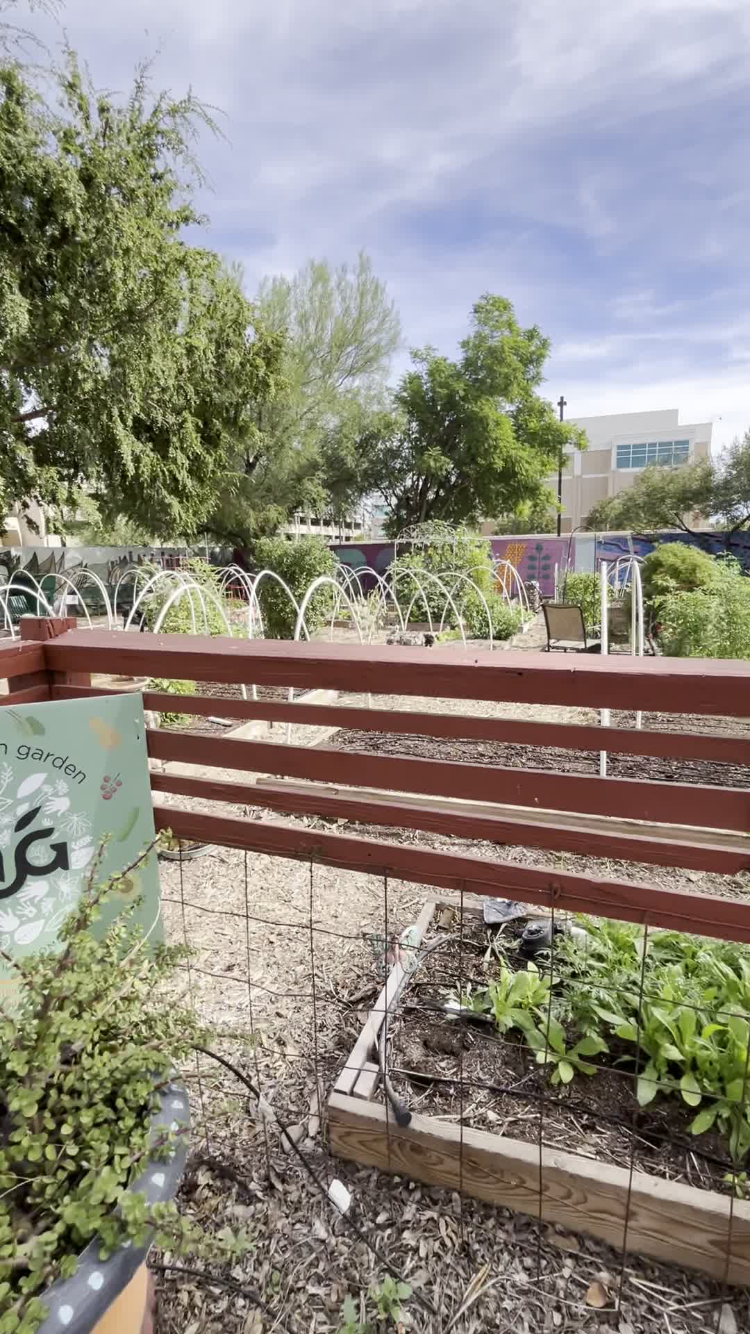 Video review of Mesa Urban Garden