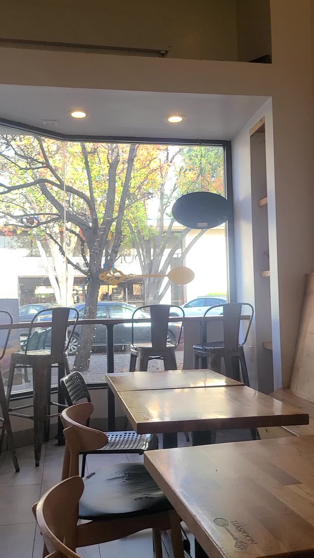 Video review of Teaspoon