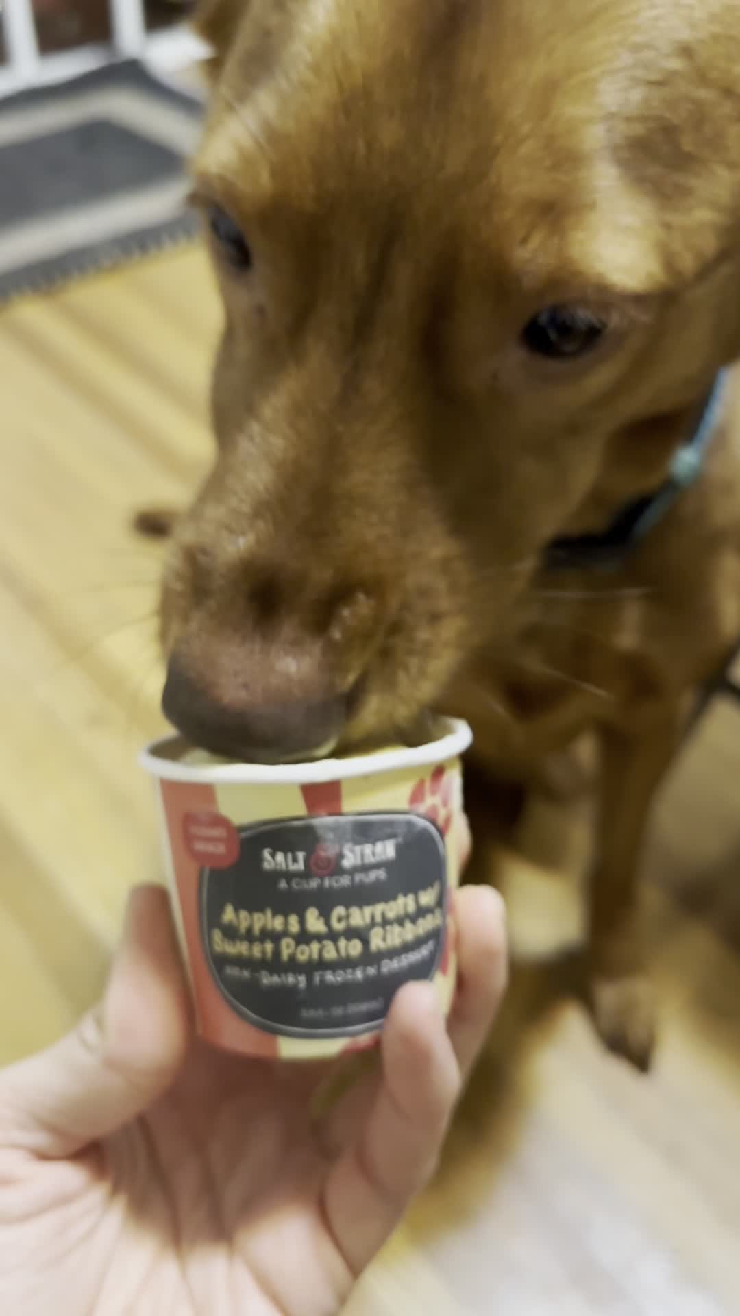 Video review of Salt & Straw