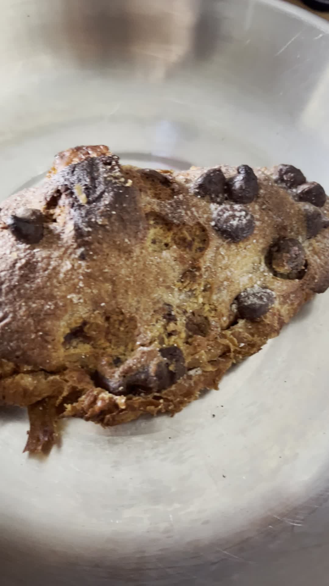 Starter Bakery