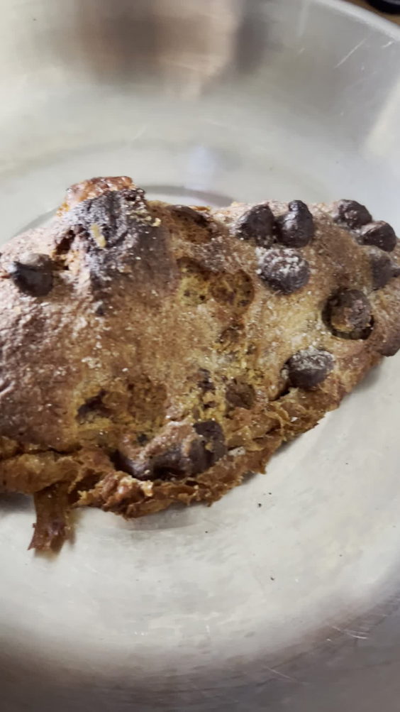 Starter Bakery