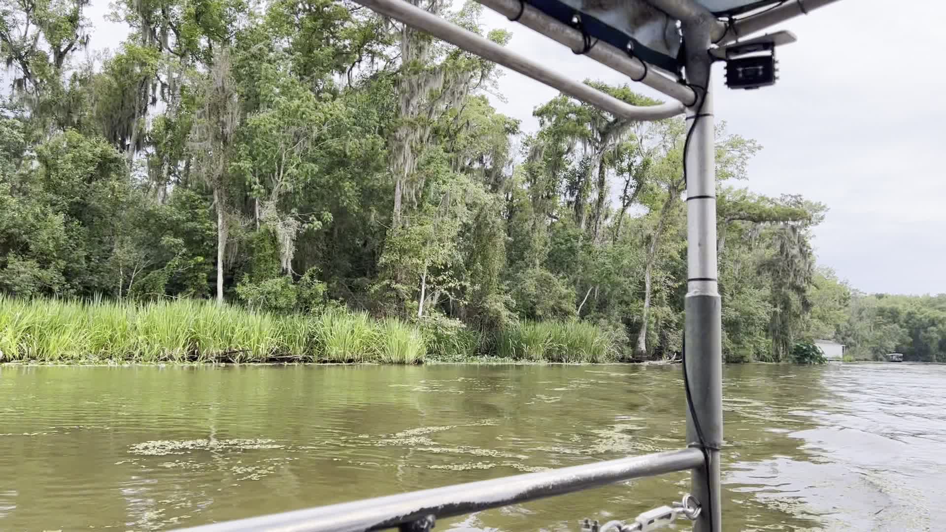 Cajun Encounters Swamp Tour
