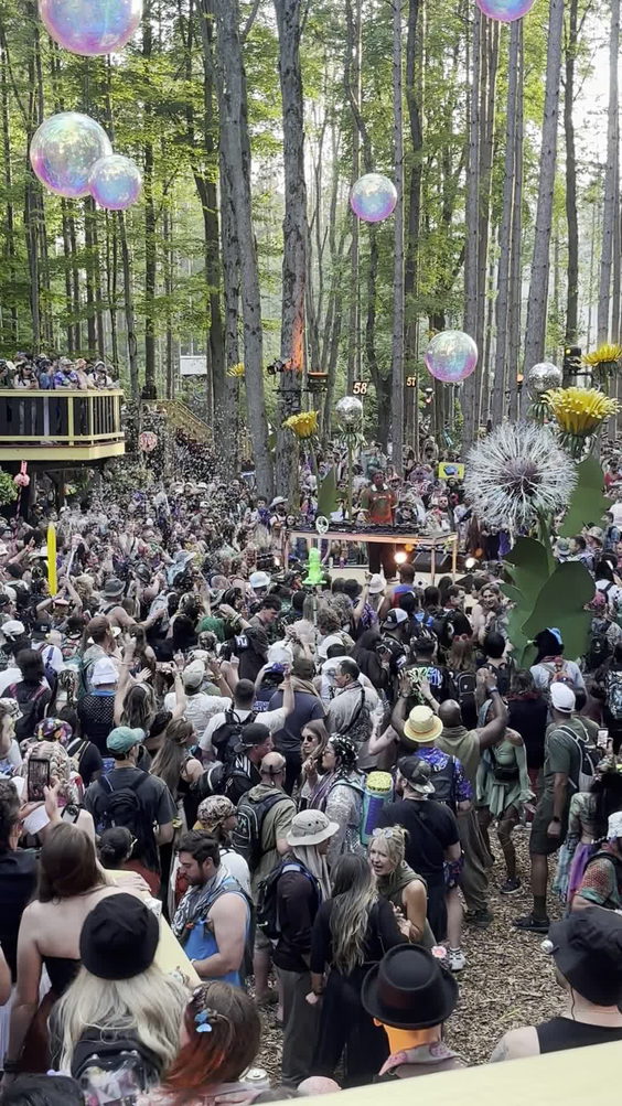 Electric forest