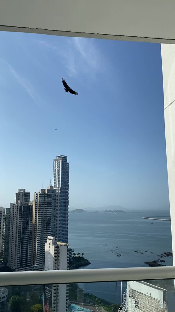 Hard Rock Hotel Panama Megapolis