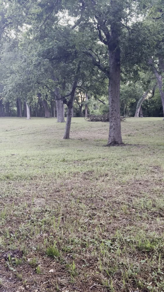 City Moment · Benbrook
