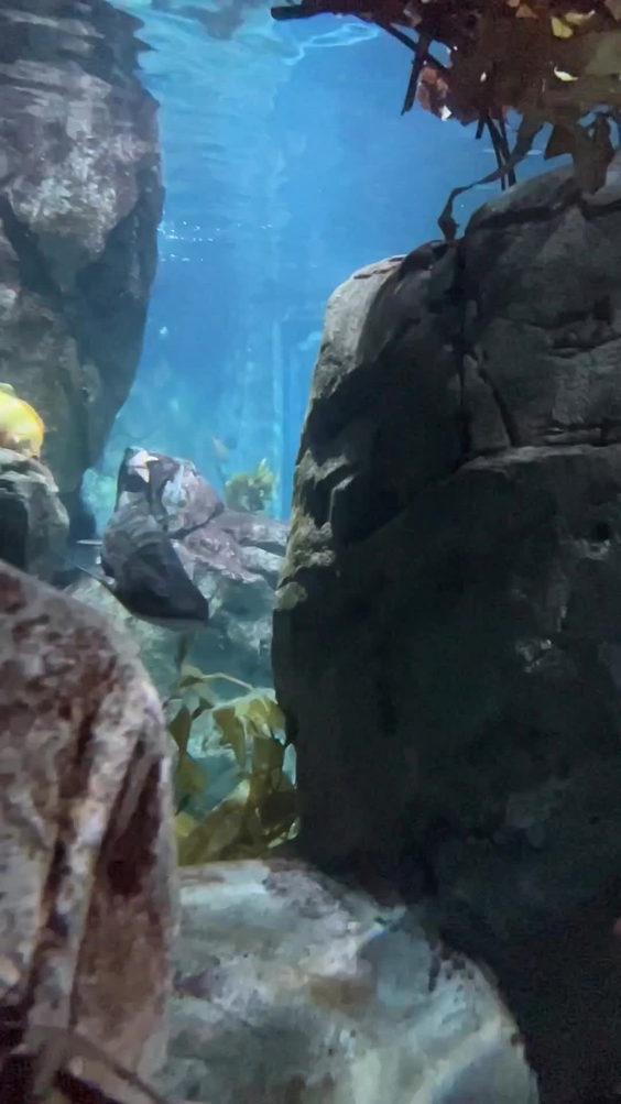 Aquarium of the Pacific--BREAK ROOM
