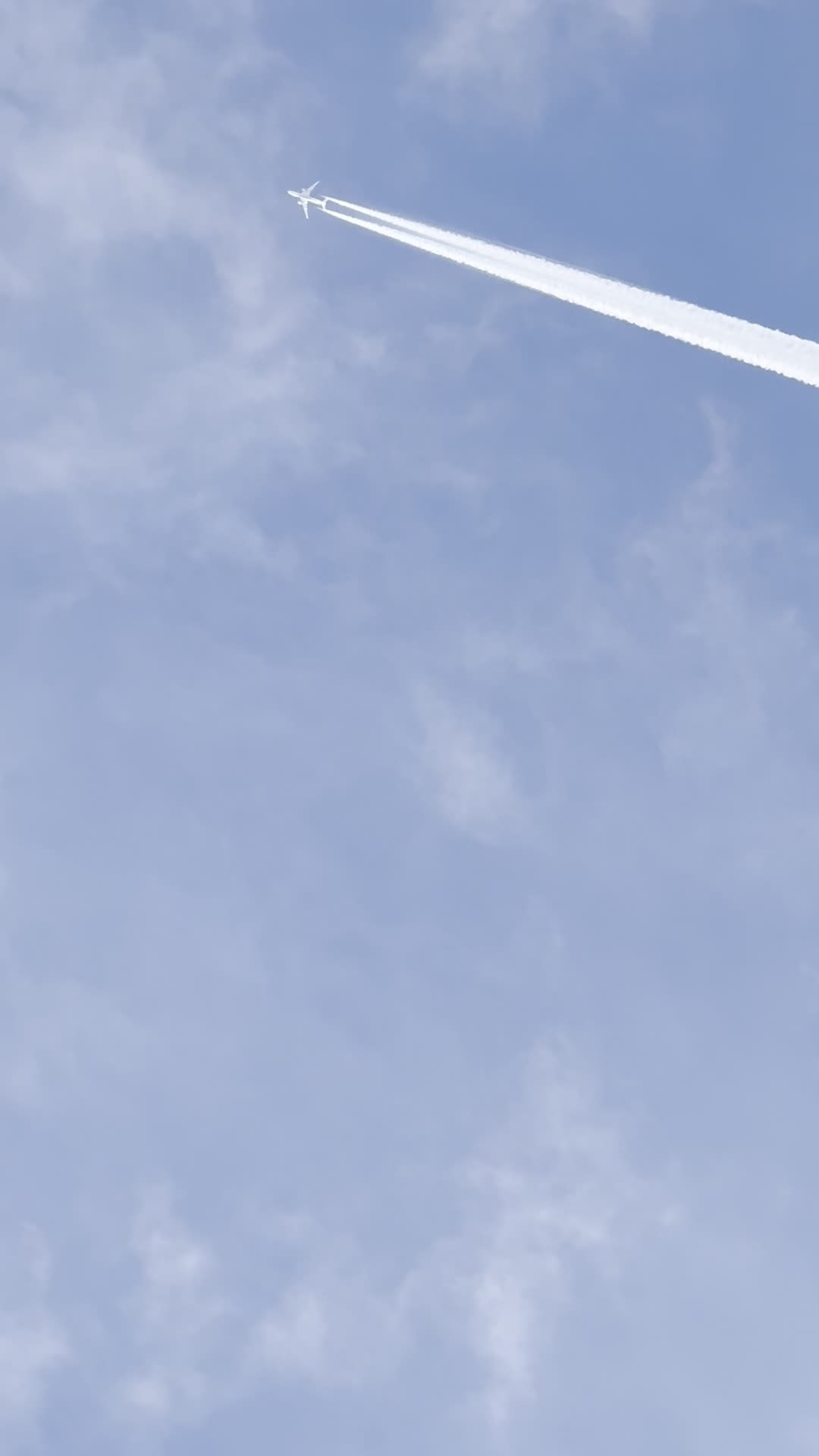 Amy Lynden Photography