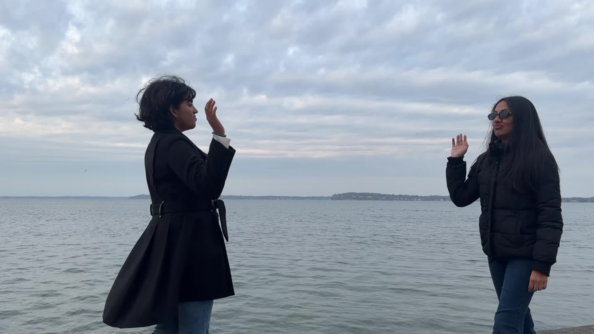 Video review of James Madison Park