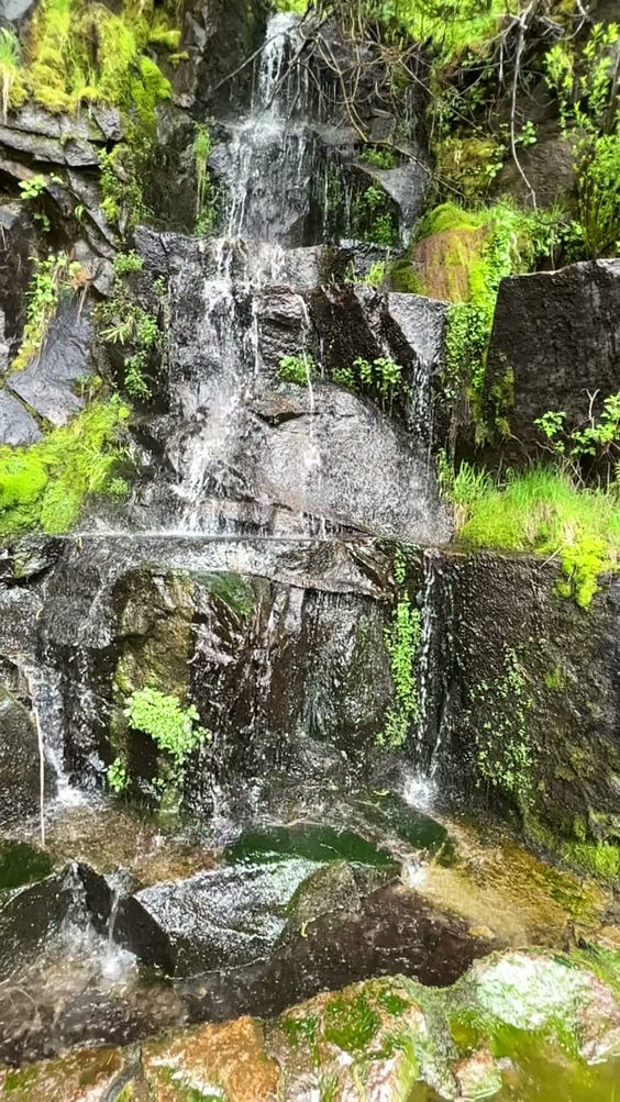 Iceland