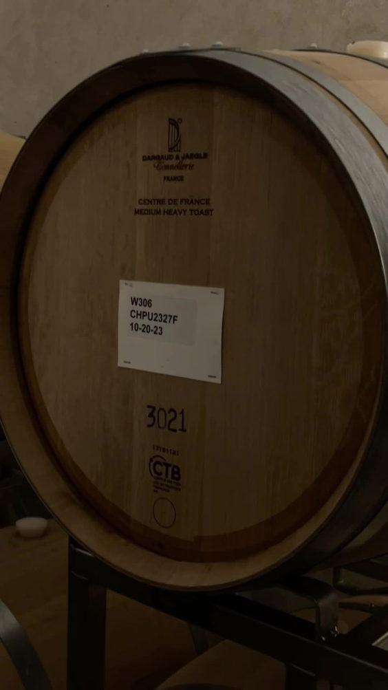 Palmaz Vineyards