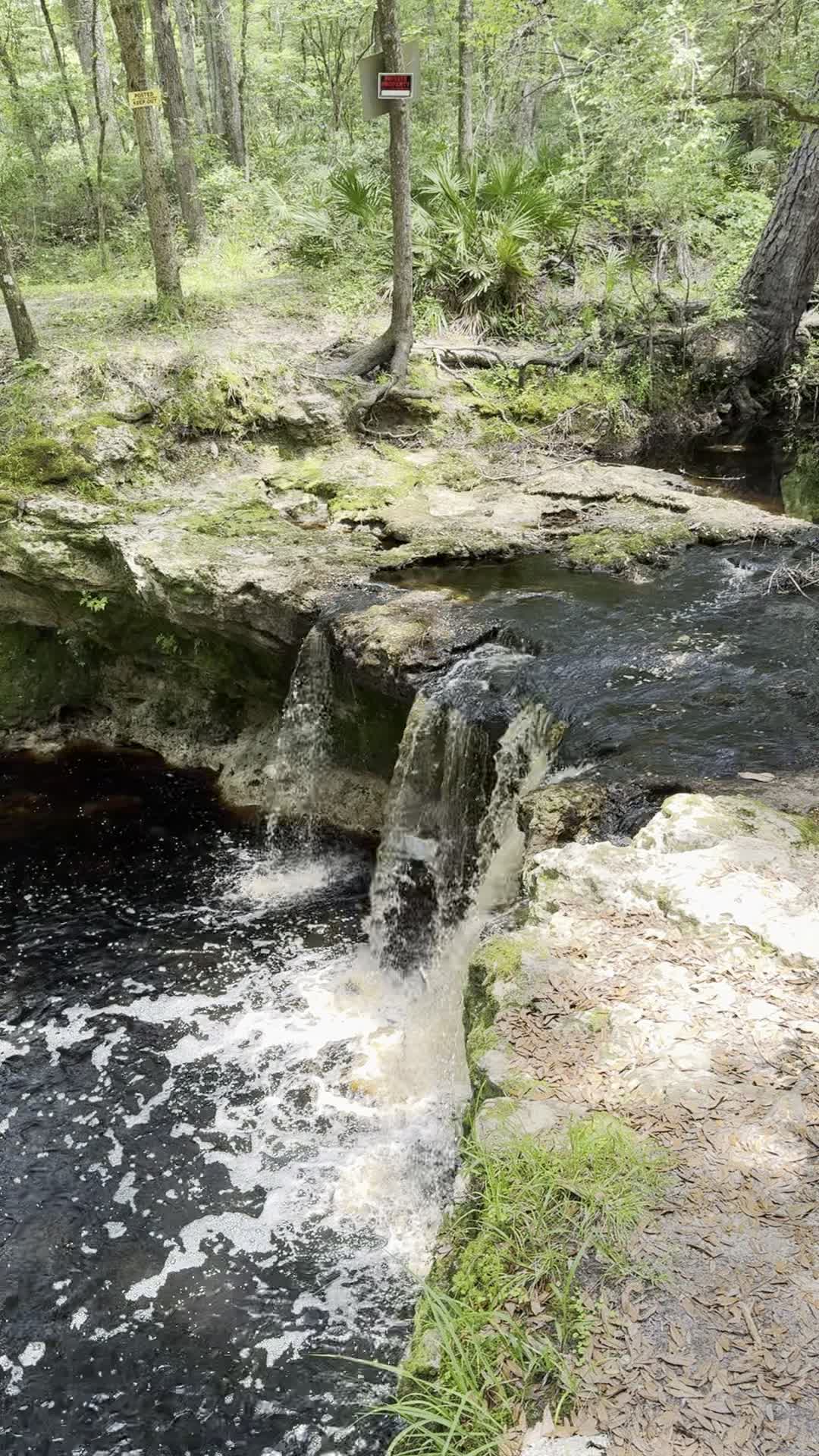 Falling Creek Falls
