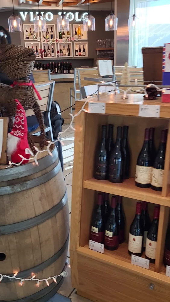 Vino Volo