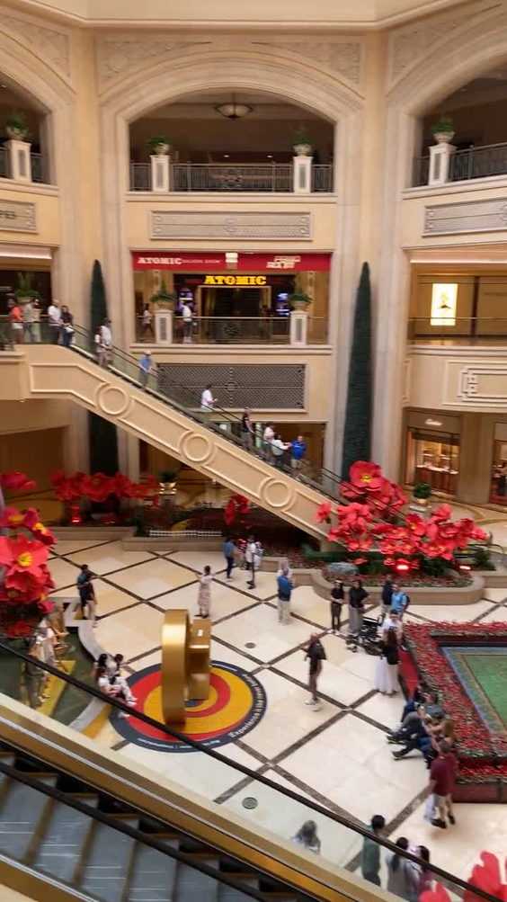 The Palazzo at The Venetian