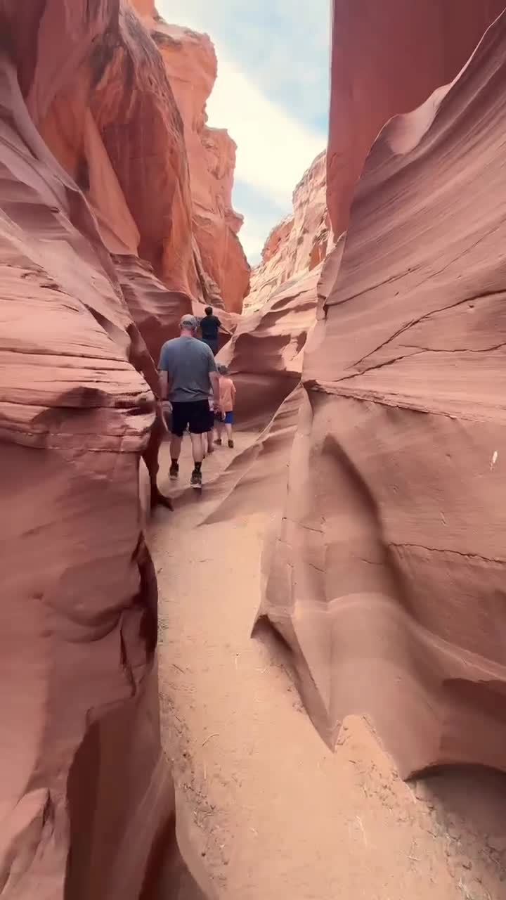 Black Streak Canyon Tours