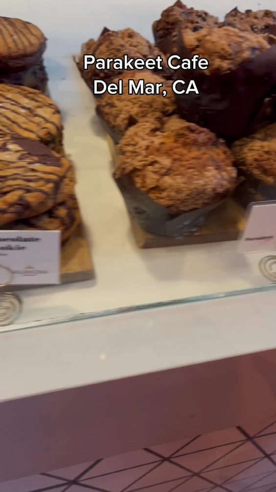 Parakeet Café