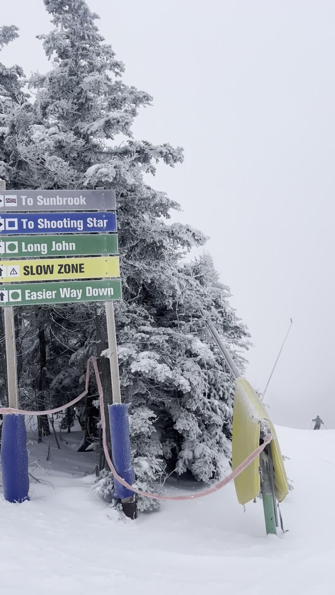 Video review of Mount Snow Resort