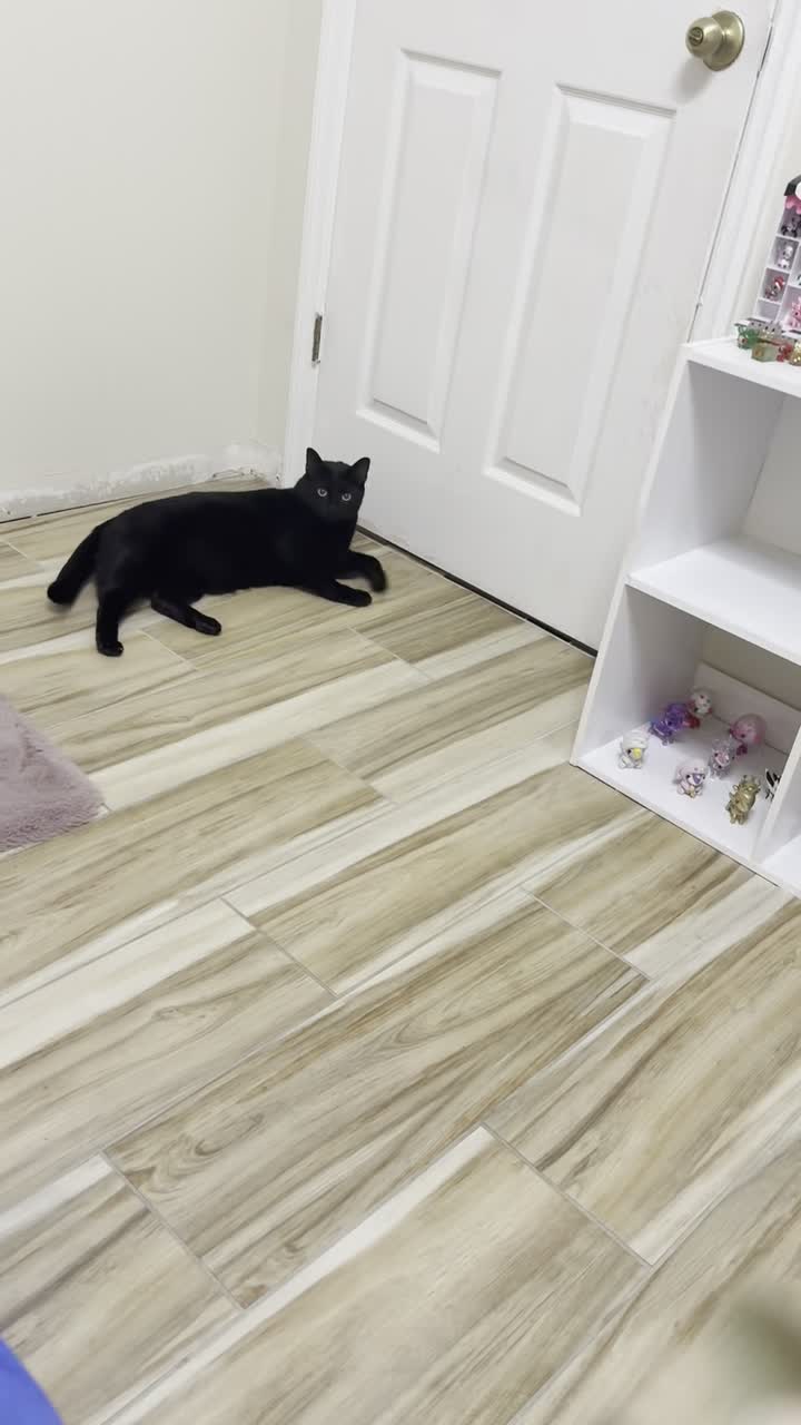 City Moment · Cape Coral