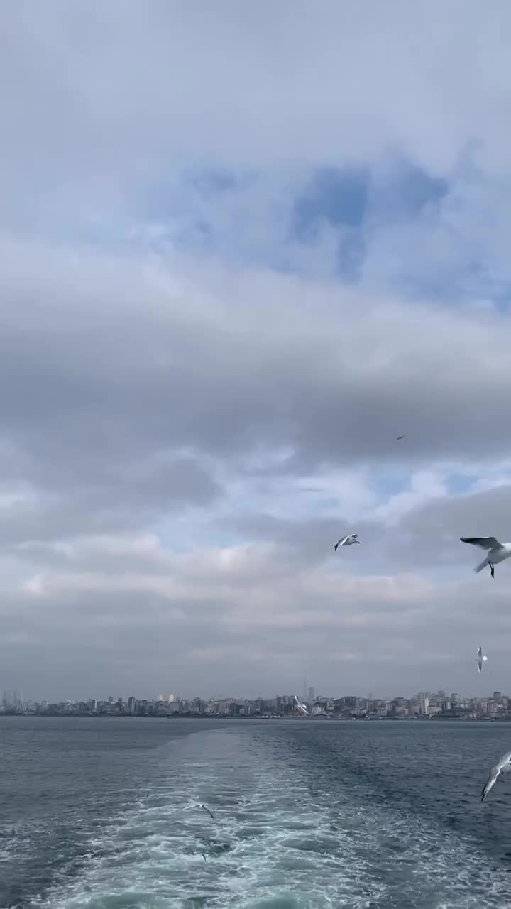 Sky Karakoy
