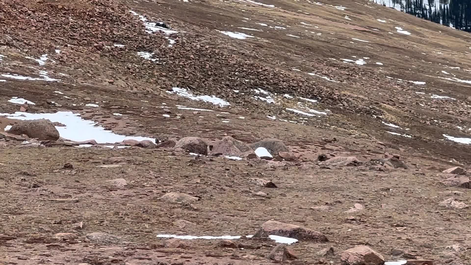 Pikes Peak - America's Mountain