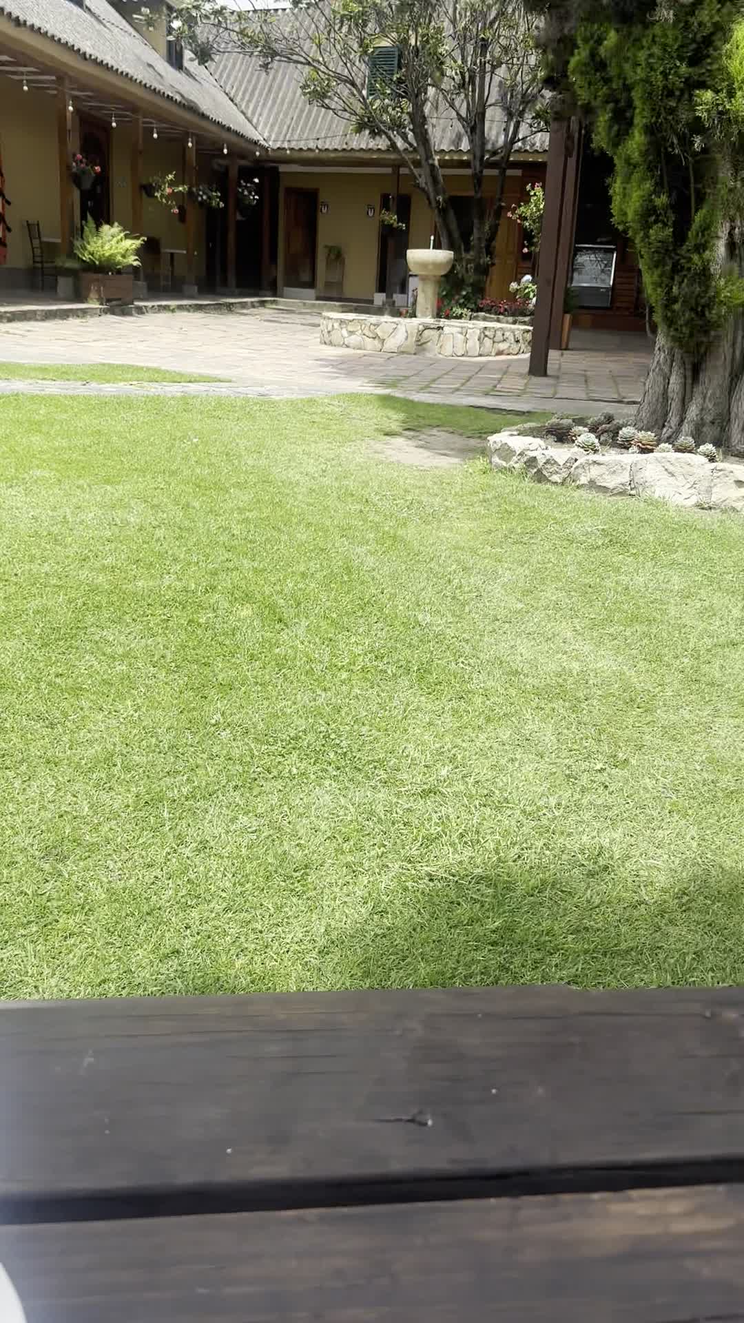 El Tambor