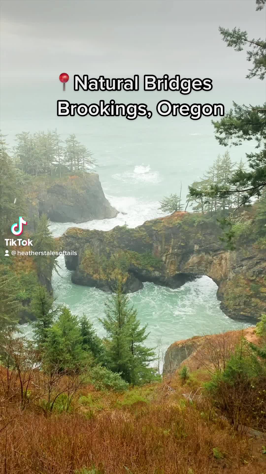 Natural Bridges