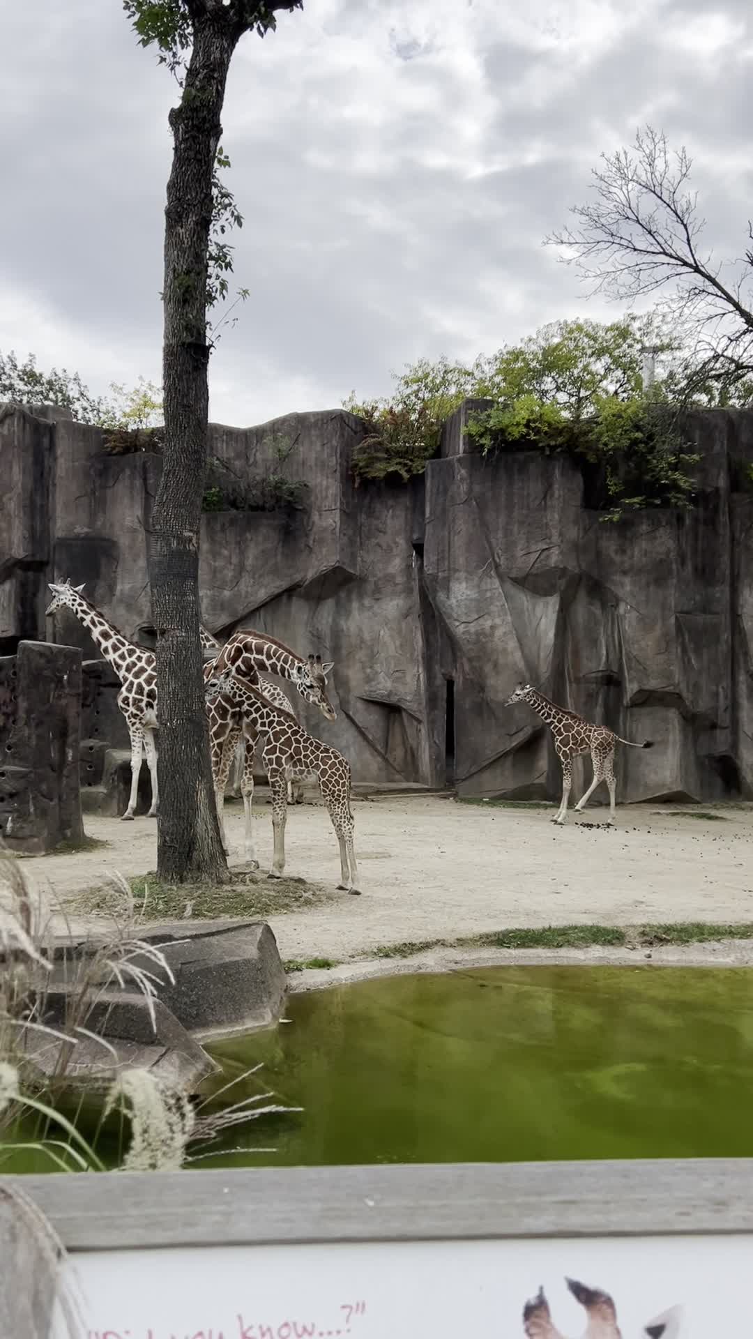 Milwaukee County Zoo