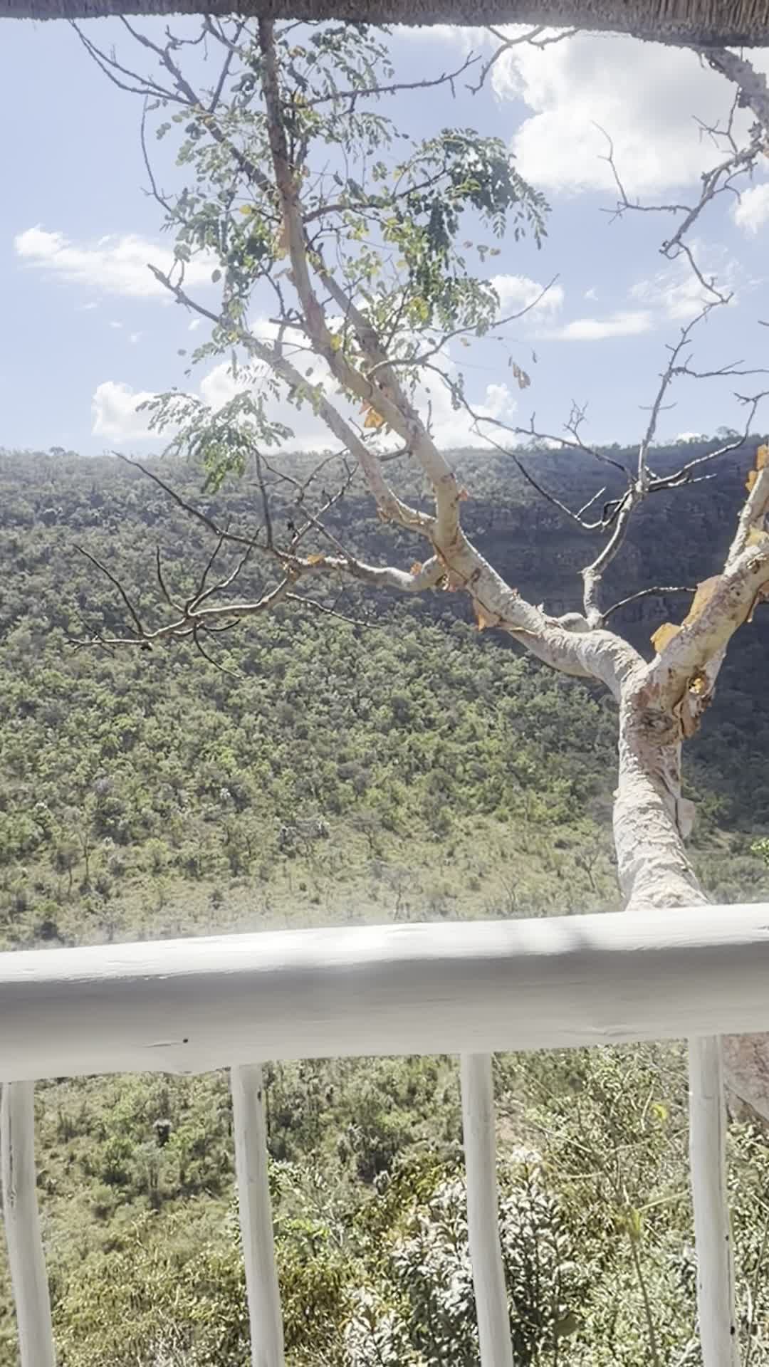 Clifftop Exclusive Safari Hideaway