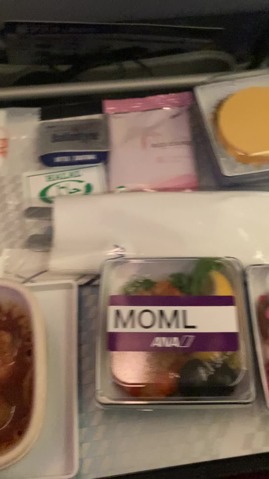 ANA All Nippon Airways Crew Center - Tokyo Haneda Airport