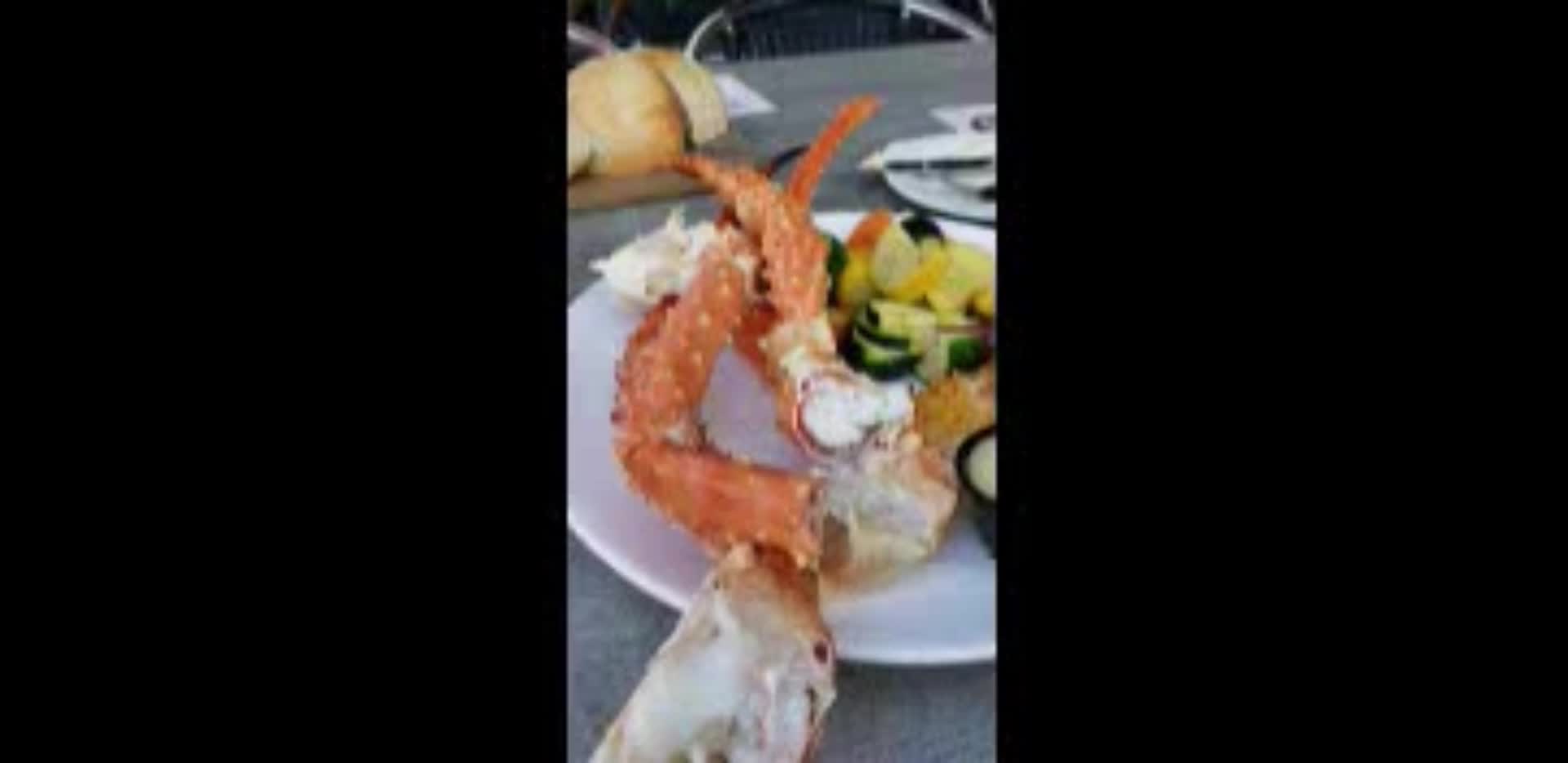 Market Broiler Orange