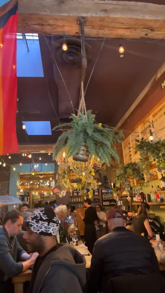 The Grey Dog - Nolita