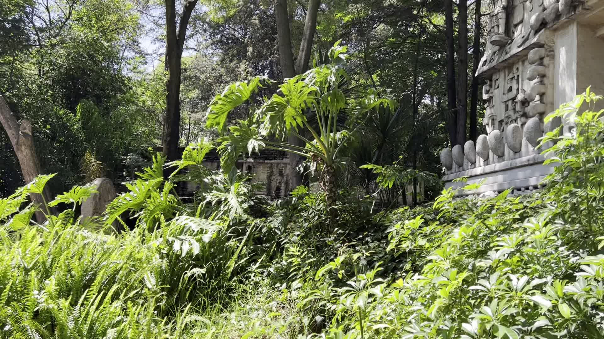 Anthropology Museum of México (Museo Nacional de Antropología)