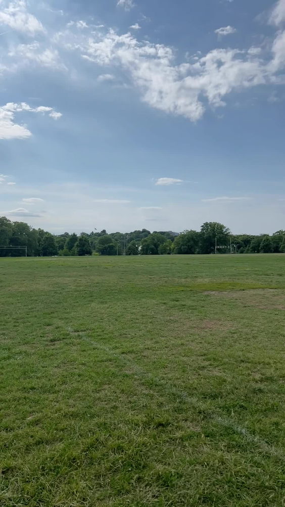 Patterson Perk