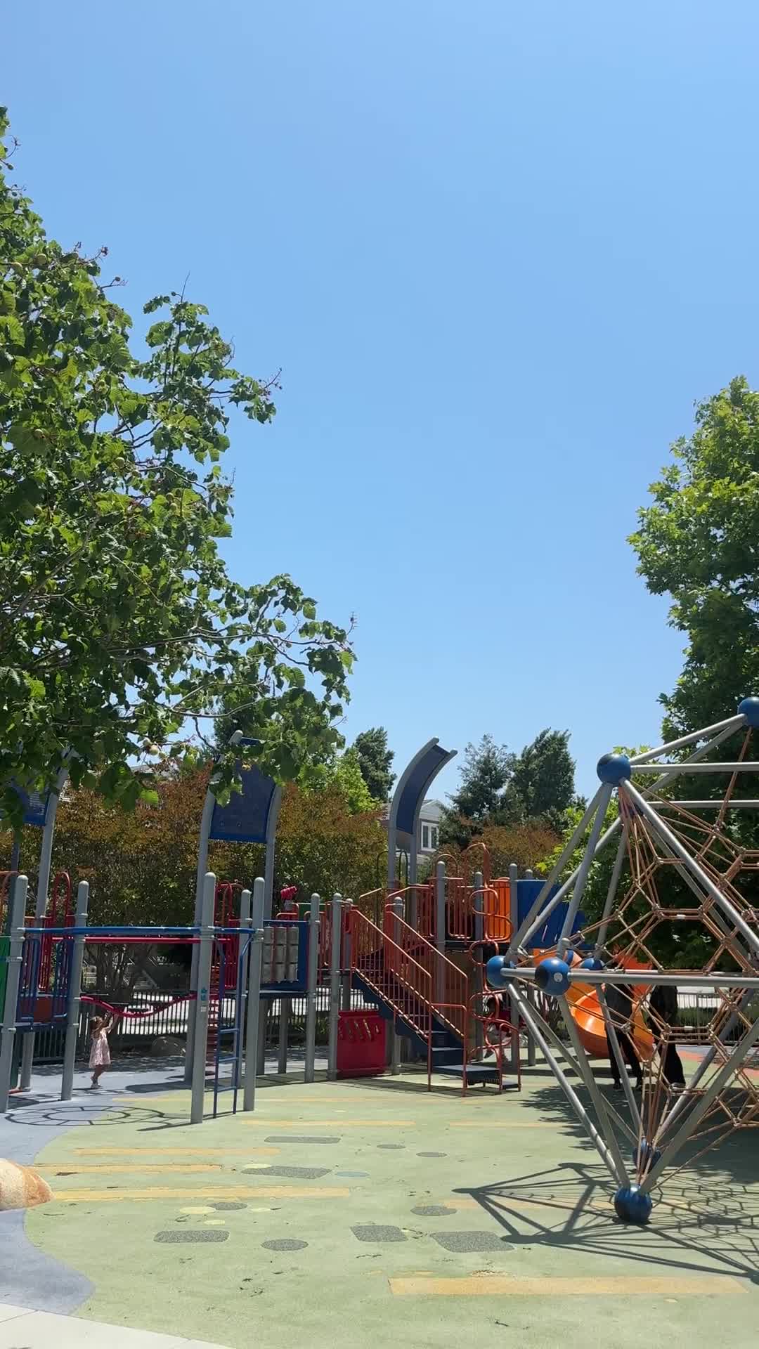 Paddock Park