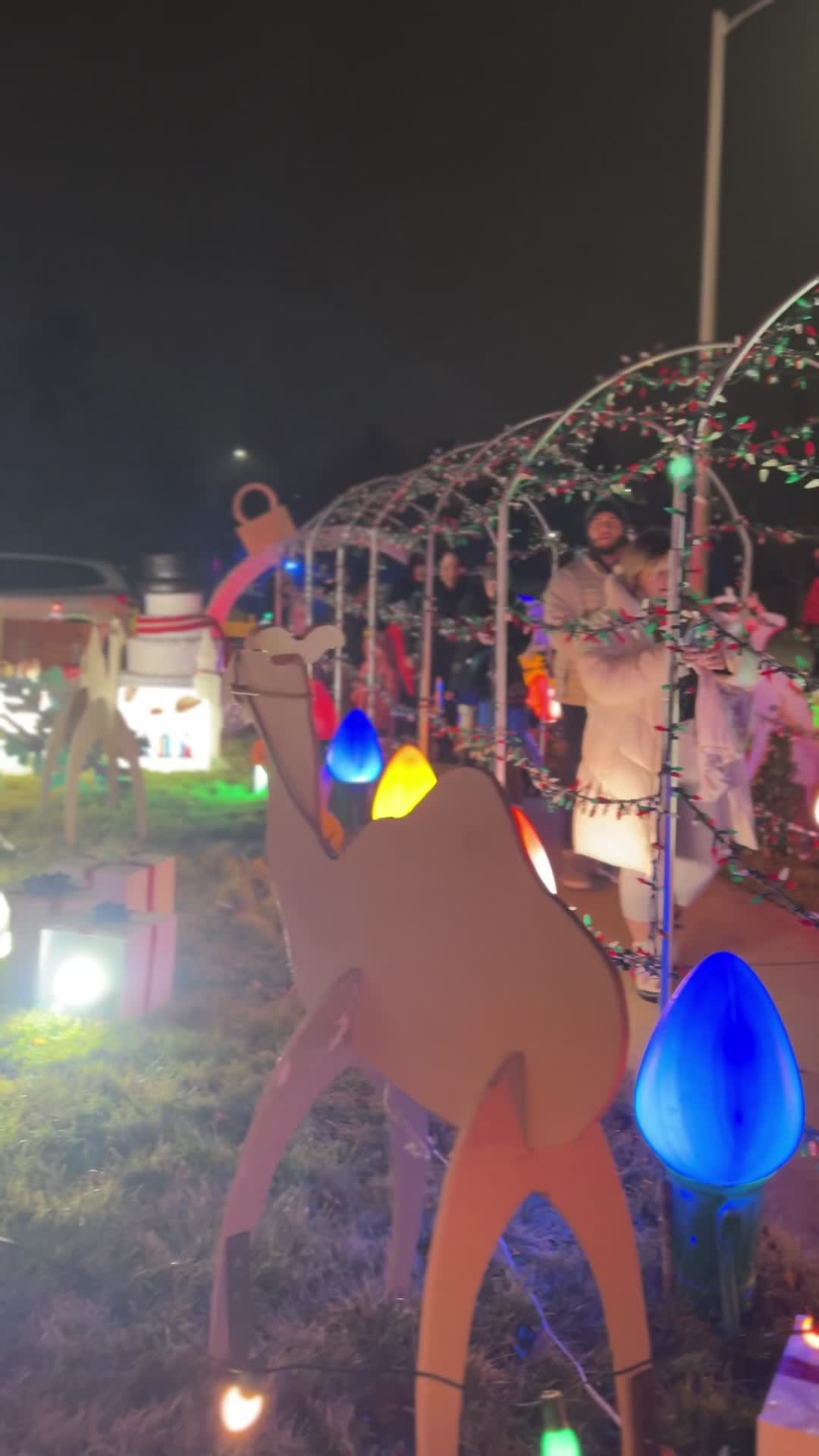 TP Christmas House